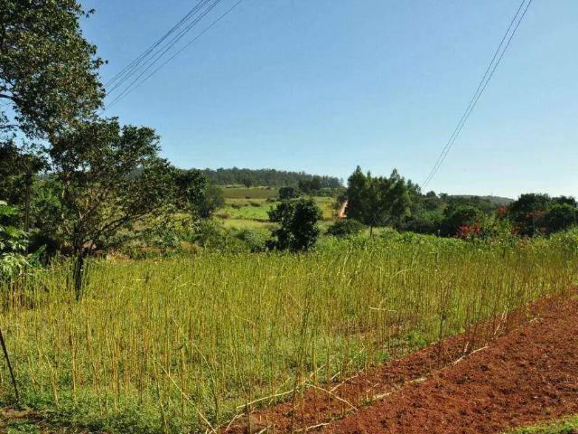 Casa / Sobrado para Venda em Valinhos/SP Macuco 3 Quartos