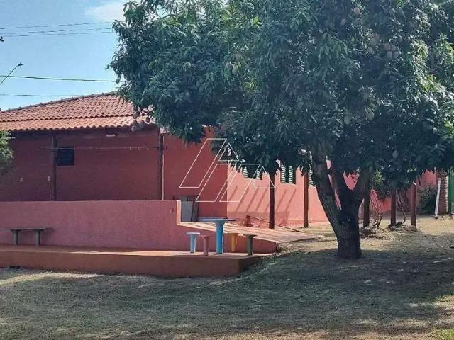 Casa / Sobrado para Venda em Vera Cruz/SP Terra de Vera Cruz 4 Quartos