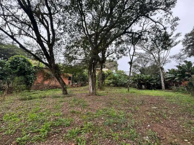 Casa / Sobrado para Venda em Viamão/RS Centro 2 Quartos