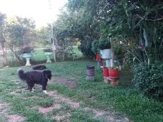 Casa / Sobrado para Venda em Viamão/RS Itapuã 3 Quartos