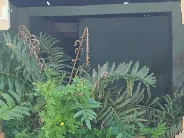 Casa / Sobrado para Venda em Vitória de Santo Antão/PE Cajá 2 Quartos