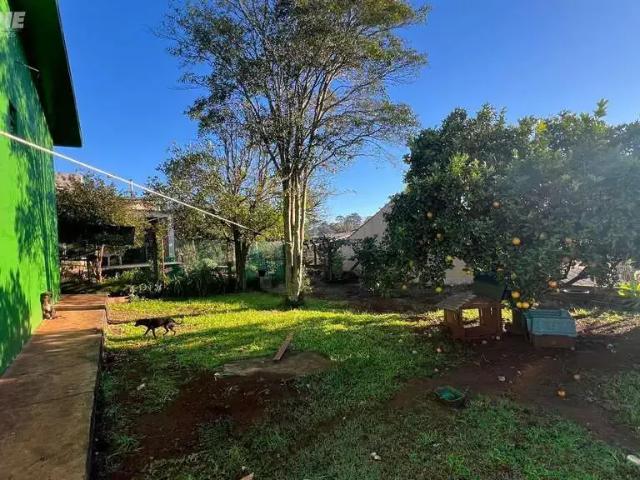 Casa / Sobrado para Venda em Xanxerê/SC Matinho