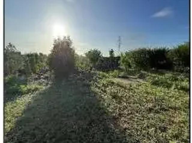 Casa / Sobrado para Venda em Açu/RN Quinta do Farol 2 Quartos