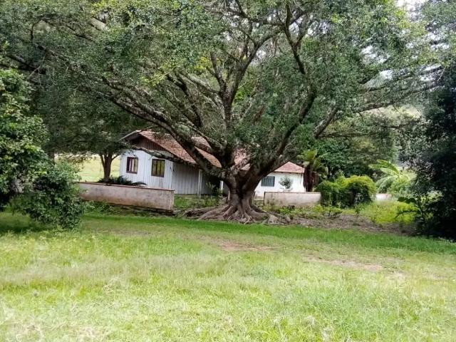 Casa / Sobrado para Venda em Agronômica/SC Mosquito