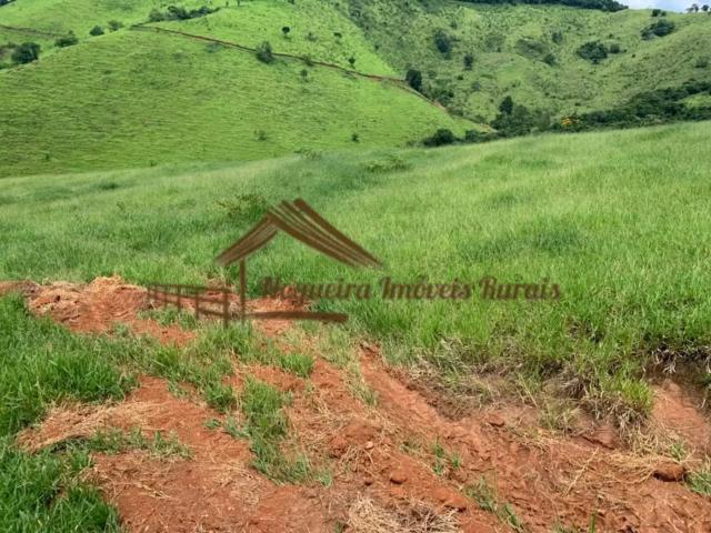 Casa / Sobrado para Venda em Adrianópolis/PR Área Rural de Adrianópolis 7 Quartos