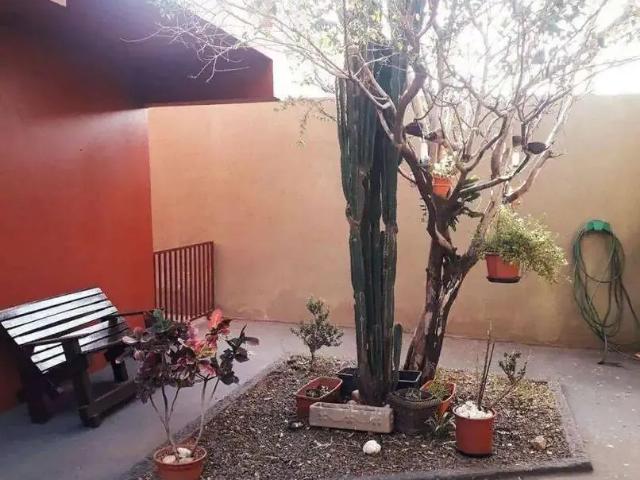 Casa / Sobrado para Venda em Americana/SP Jardim Brasil 3 Quartos