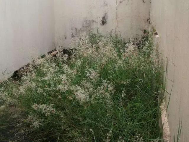Casa / Sobrado para Venda em Americana/SP Jardim São Domingos 2 Quartos