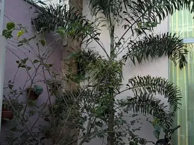 Casa / Sobrado para Venda em Anápolis/GO Parque Brasília 2ª Etapa 3 Quartos