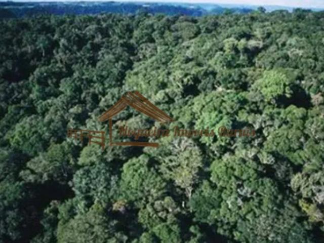 Casa / Sobrado para Venda em Apiaí/SP Área Rural de Apiaí