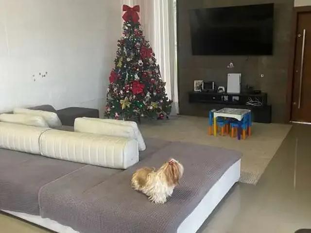 Casa / Sobrado para Venda em Apucarana/PR Vila Santa Terezinha 3 Quartos