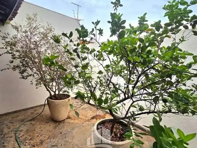 Casa / Sobrado para Venda em Araçatuba/SP Dona Amélia 3 Quartos
