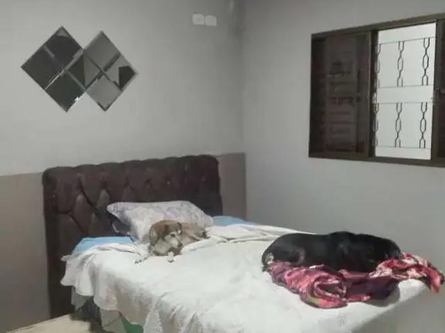 Casa / Sobrado para Venda em Arapongas/PR Jardim Paulista II 2 Quartos