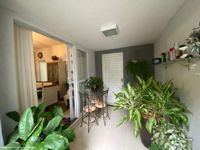 Casa / Sobrado para Venda em Araraquara/SP Jardim Roberto Selmi Dei 3 Quartos