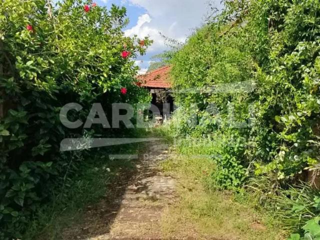 Casa / Sobrado para Venda em Araraquara/SP São José 3 Quartos