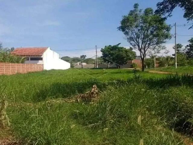 Casa / Sobrado para Venda em Arealva/SP Zona Rural