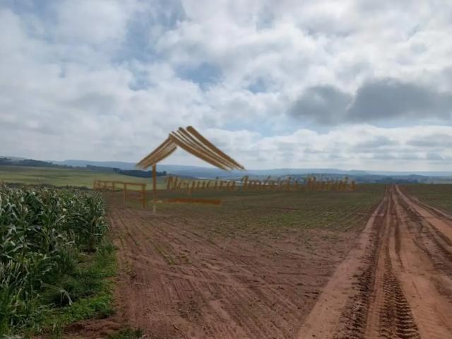 Casa / Sobrado para Venda em Avaré/SP Área Rural de Avaré