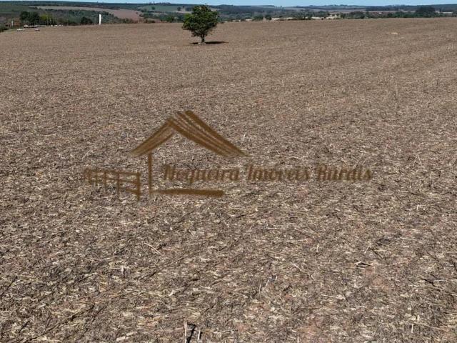 Casa / Sobrado para Venda em Avaré/SP Área Rural de Avaré