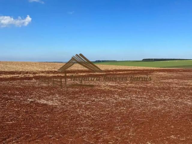 Casa / Sobrado para Venda em Avaré/SP Área Rural de Avaré