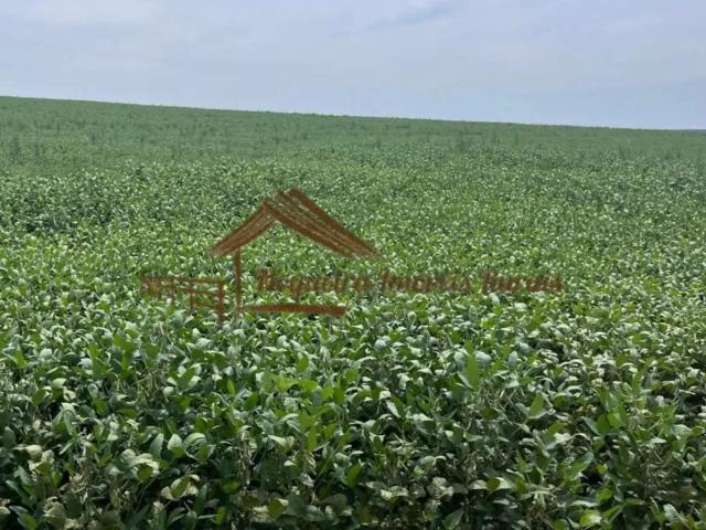 Casa / Sobrado para Venda em Avaré/SP Área Rural de Avaré