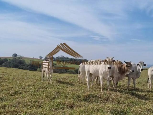 Casa / Sobrado para Venda em Bandeirantes/PR Zona Rural