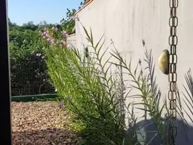 Casa / Sobrado para Venda em Balneário Camboriú/SC Jardim Iate Clube 1 Quartos