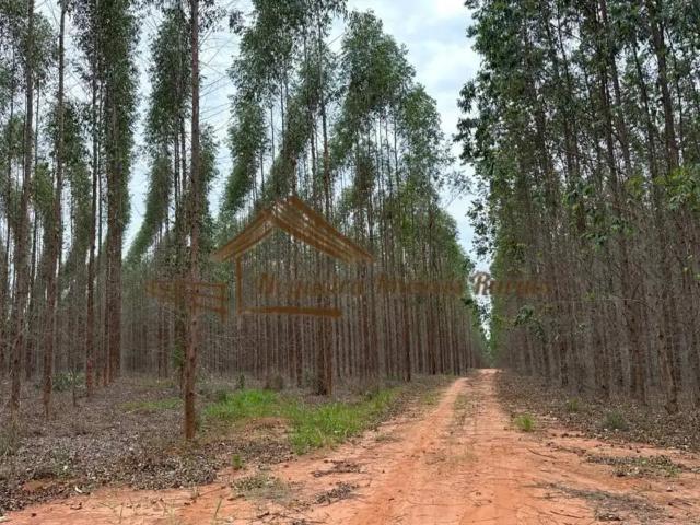 Casa / Sobrado para Venda em Bauru/SP Área Rural de Bauru