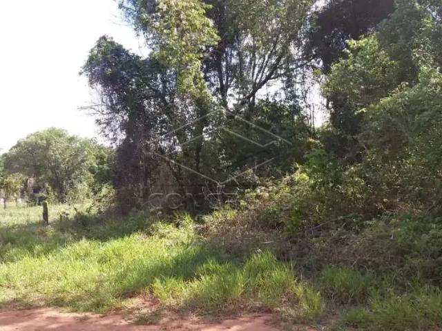 Casa / Sobrado para Venda em Bauru/SP Vale do Igapó