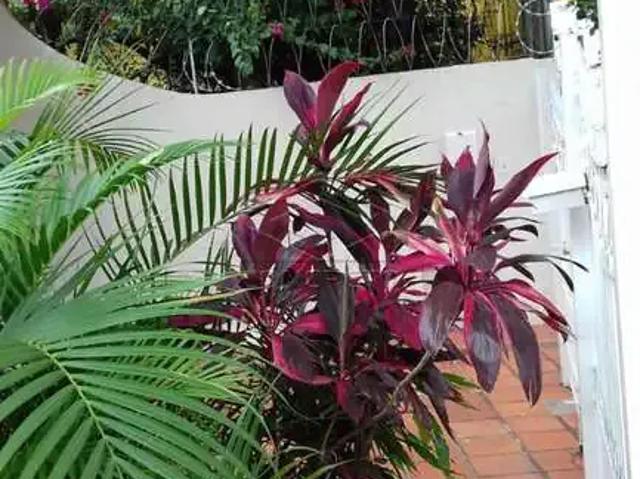 Casa / Sobrado para Venda em Bauru/SP Vila Cordeiro 3 Quartos