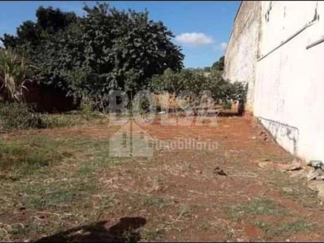 Casa / Sobrado para Venda em Bauru/SP Vila Carolina 1 Quartos