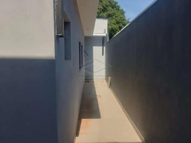 Casa / Sobrado para Venda em Bauru/SP Vila Alto Paraíso 3 Quartos