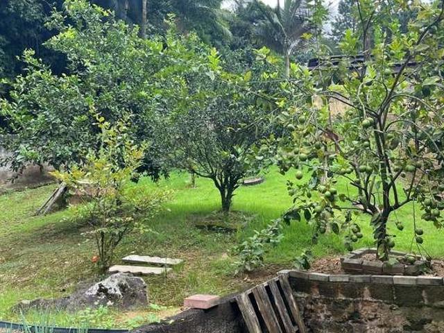 Casa / Sobrado para Venda em Benedito Novo/SC Centro 3 Quartos