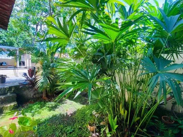 Casa / Sobrado para Venda em Belo Horizonte/MG São Francisco 4 Quartos
