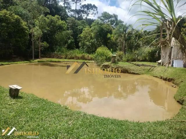 Casa / Sobrado para Venda em Bocaiúva do Sul/PR Zona Rural 4 Quartos
