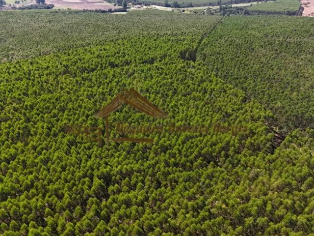 Casa / Sobrado para Venda em Botucatu/SP Área Rural de Botucatu