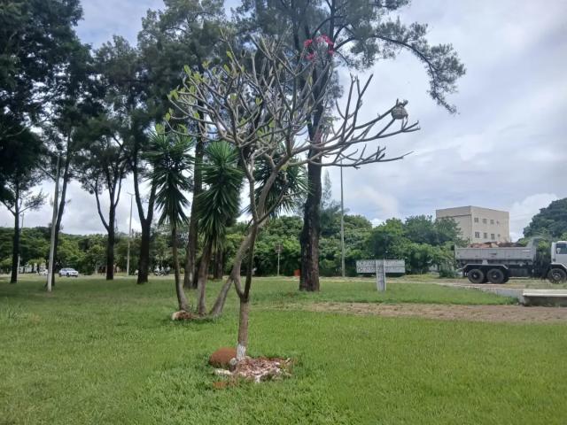 Casa / Sobrado para Venda em Brasília/DF Guará I 4 Quartos