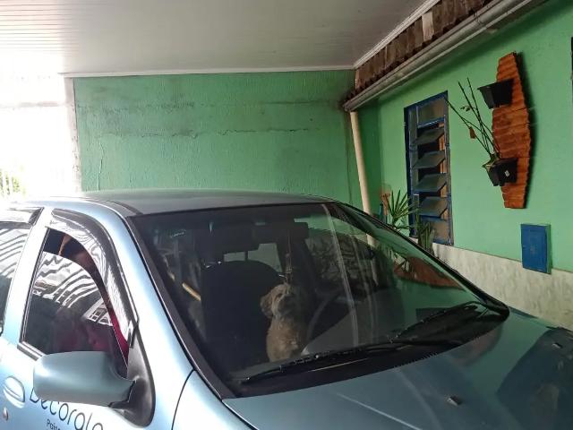 Casa / Sobrado para Venda em Brasília/DF Samambaia Norte Samambaia 3 Quartos