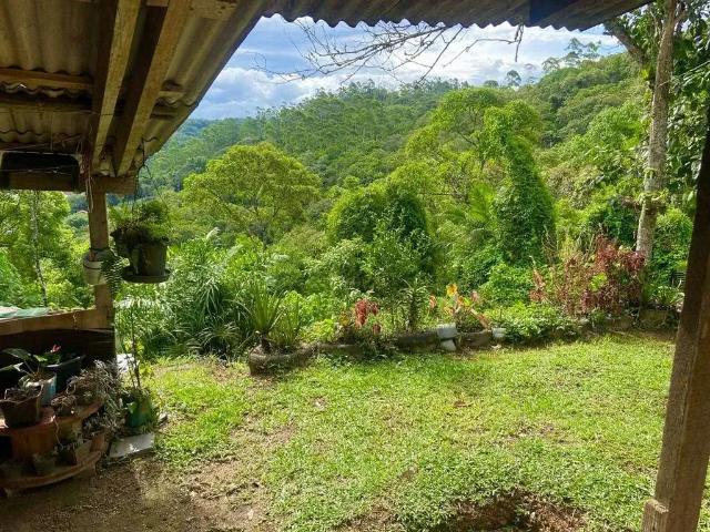 Casa / Sobrado para Venda em Brusque/SC Cerâmica Reis 2 Quartos