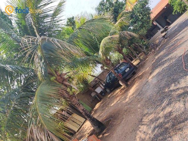Casa / Sobrado para Venda em Buritama/SP Buritama 2 Quartos