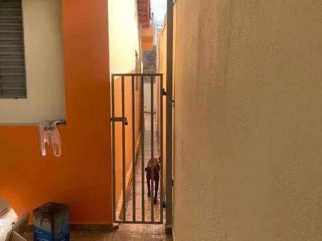 Casa / Sobrado para Venda em Campinas/SP Jardim América 3 Quartos