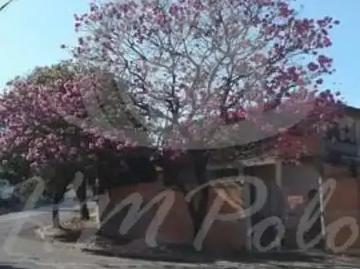 Casa / Sobrado para Venda em Campinas/SP Parque Valença I 4 Quartos