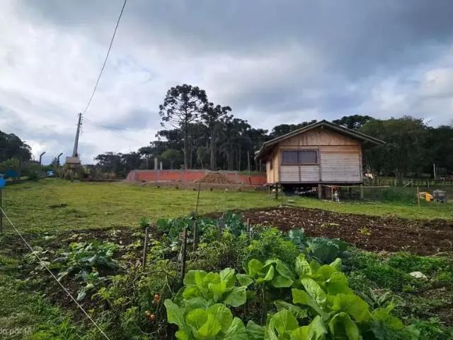 Casa / Sobrado para Venda em Campo Alegre/SC Saltinho 2 Quartos
