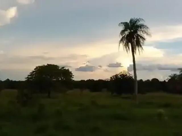 Casa / Sobrado para Venda em Campo Grande/MS Centro