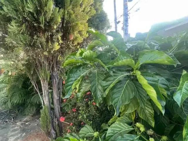 Casa / Sobrado para Venda em Campos dos Goytacazes/RJ Parque Alvorada 4 Quartos