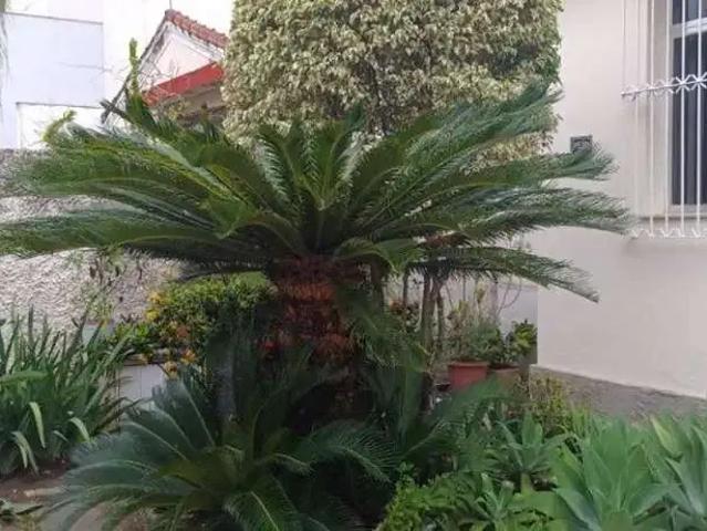 Casa / Sobrado para Venda em Campos dos Goytacazes/RJ Parque Tamandaré 3 Quartos