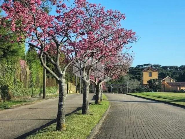 Casa / Sobrado para Venda em Canela/RS Reserva da Serra 3 Quartos