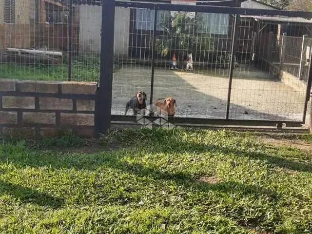 Casa / Sobrado para Venda em Canoas/RS Harmonia 1 Quartos