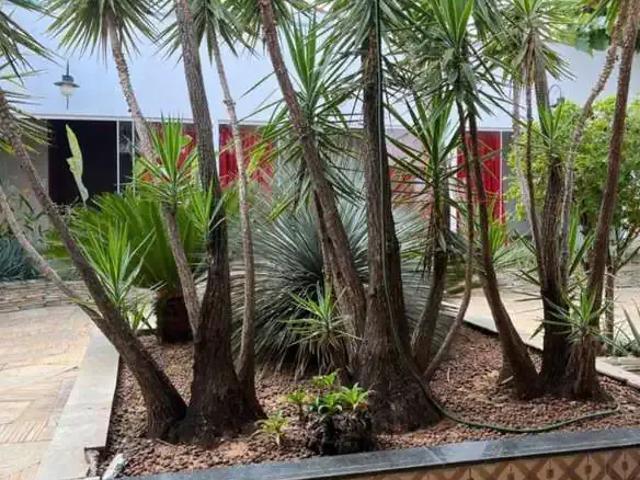 Casa / Sobrado para Venda em Caldas Novas/GO Jardim Paraíso 4 Quartos