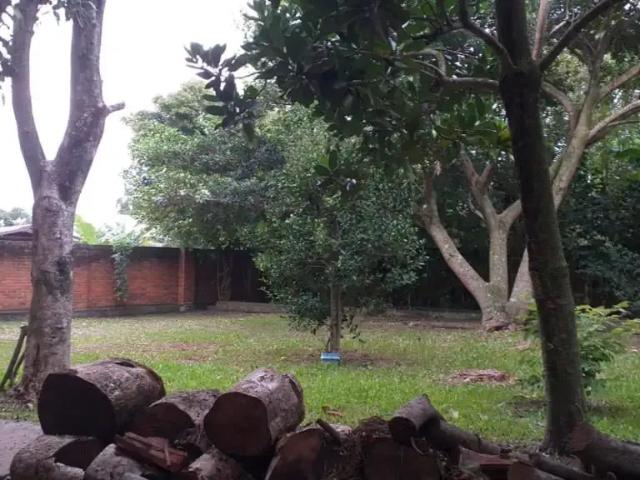 Casa / Sobrado para Venda em Capão da Canoa/RS Capão Novo 4 Quartos