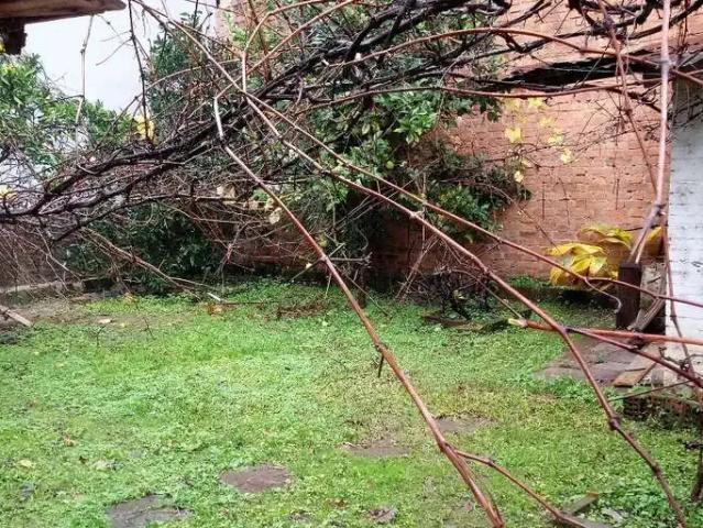 Casa / Sobrado para Venda em Caxias do Sul/RS Centro 4 Quartos