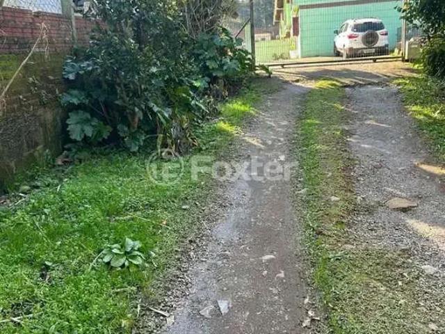 Casa / Sobrado para Venda em Caxias do Sul/RS Ana Rech 7 Quartos